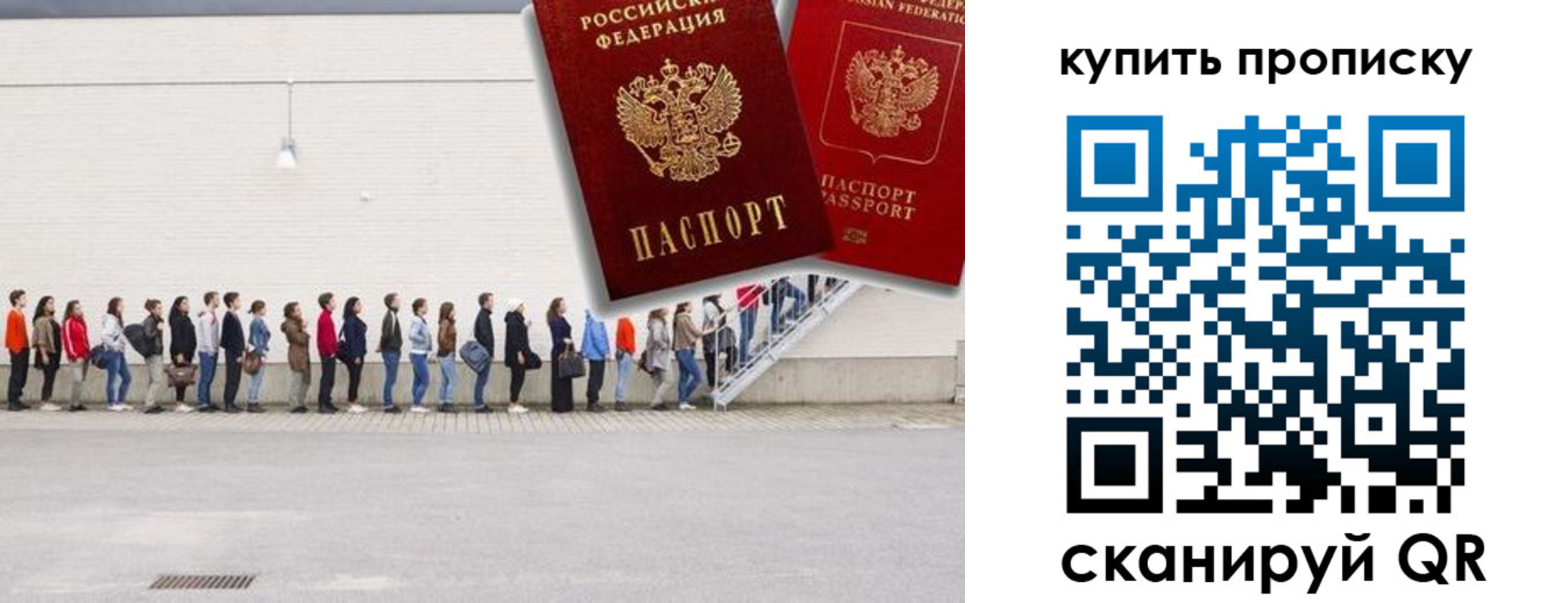 прописка штамп в Выборге